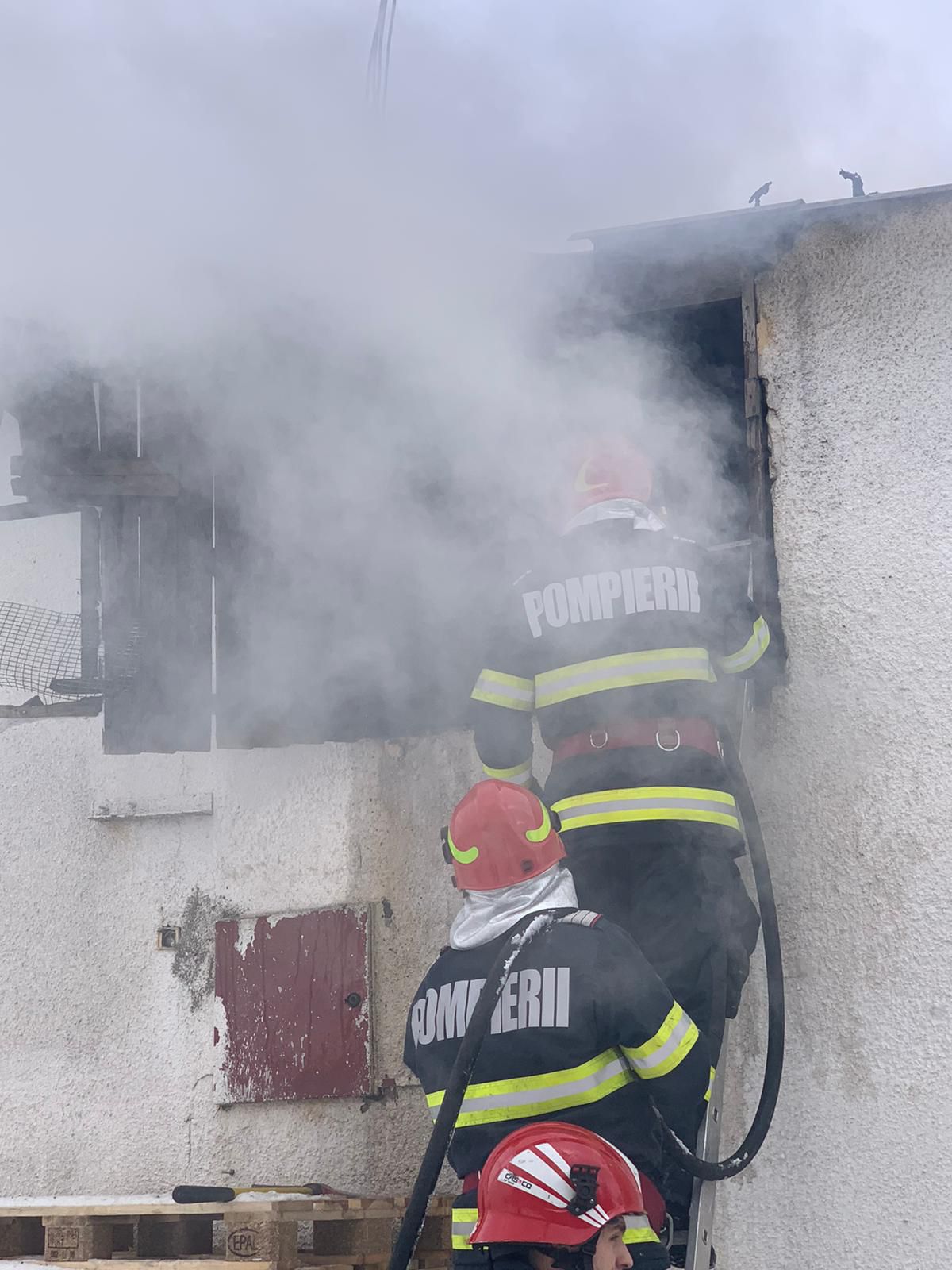 WhatsApp Image 2022-07-21 at 11.02.31