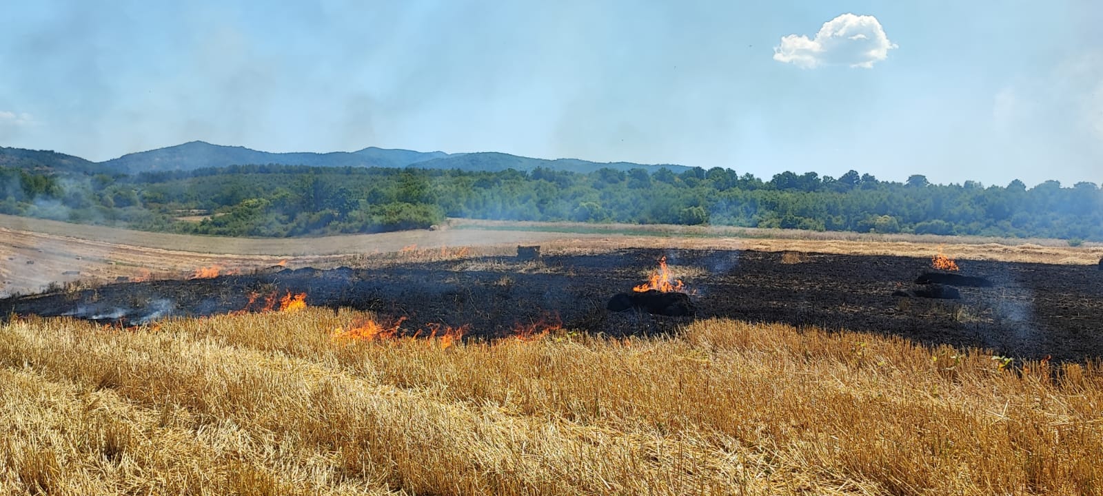 FOTO | Şase incendii de vegetaţie într-o zi