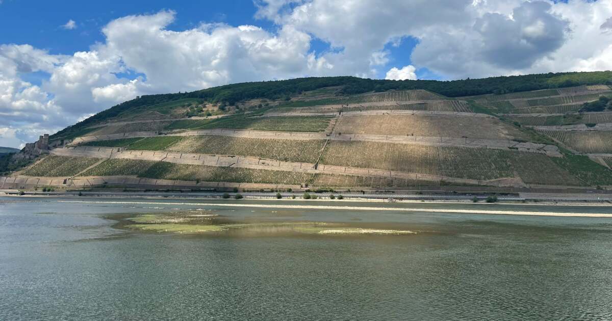Transportul comercial pe fluviul Rin s-ar putea închide, din cauza ...