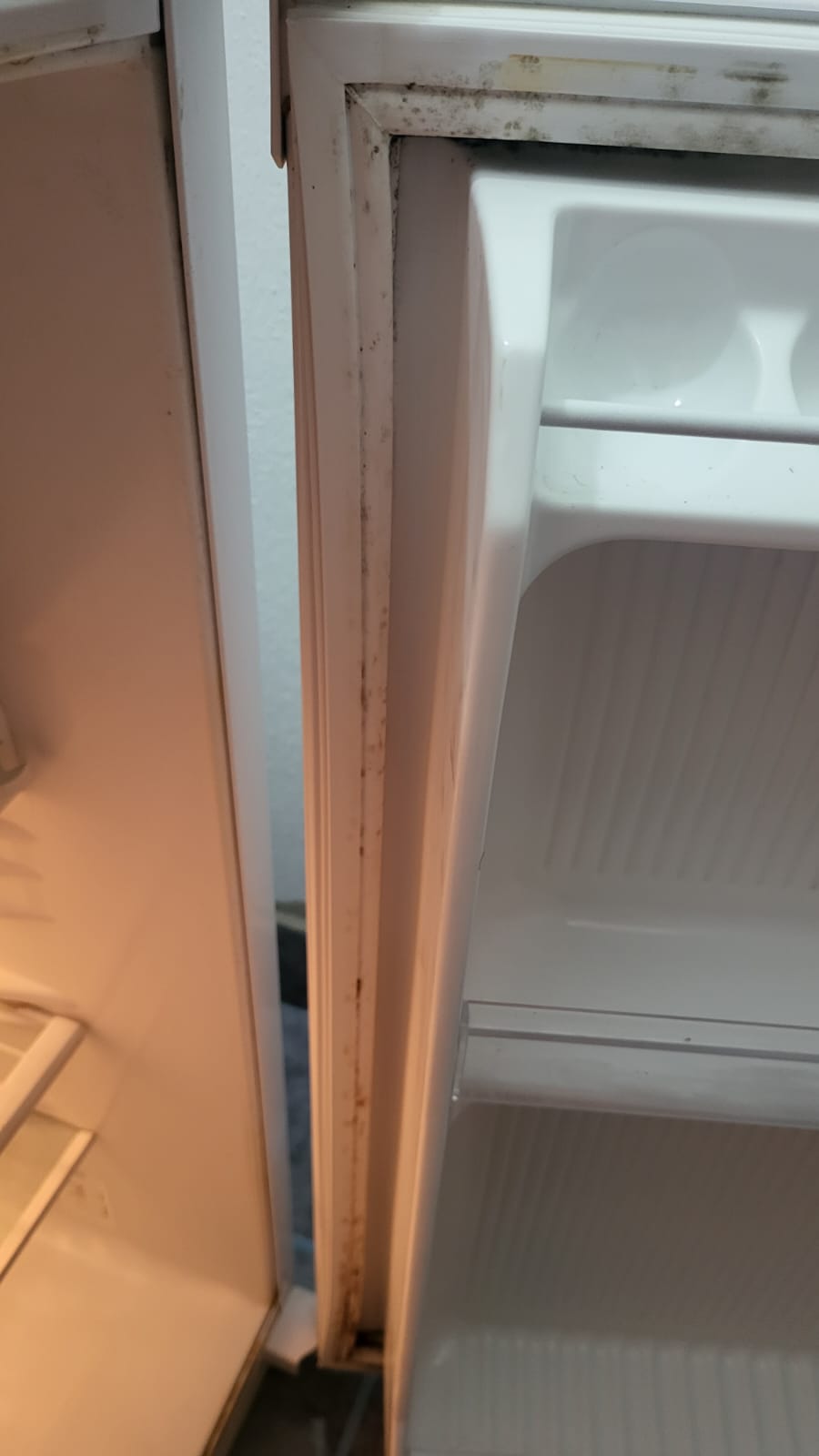 PHOTO-2022-09-07-09-27-23