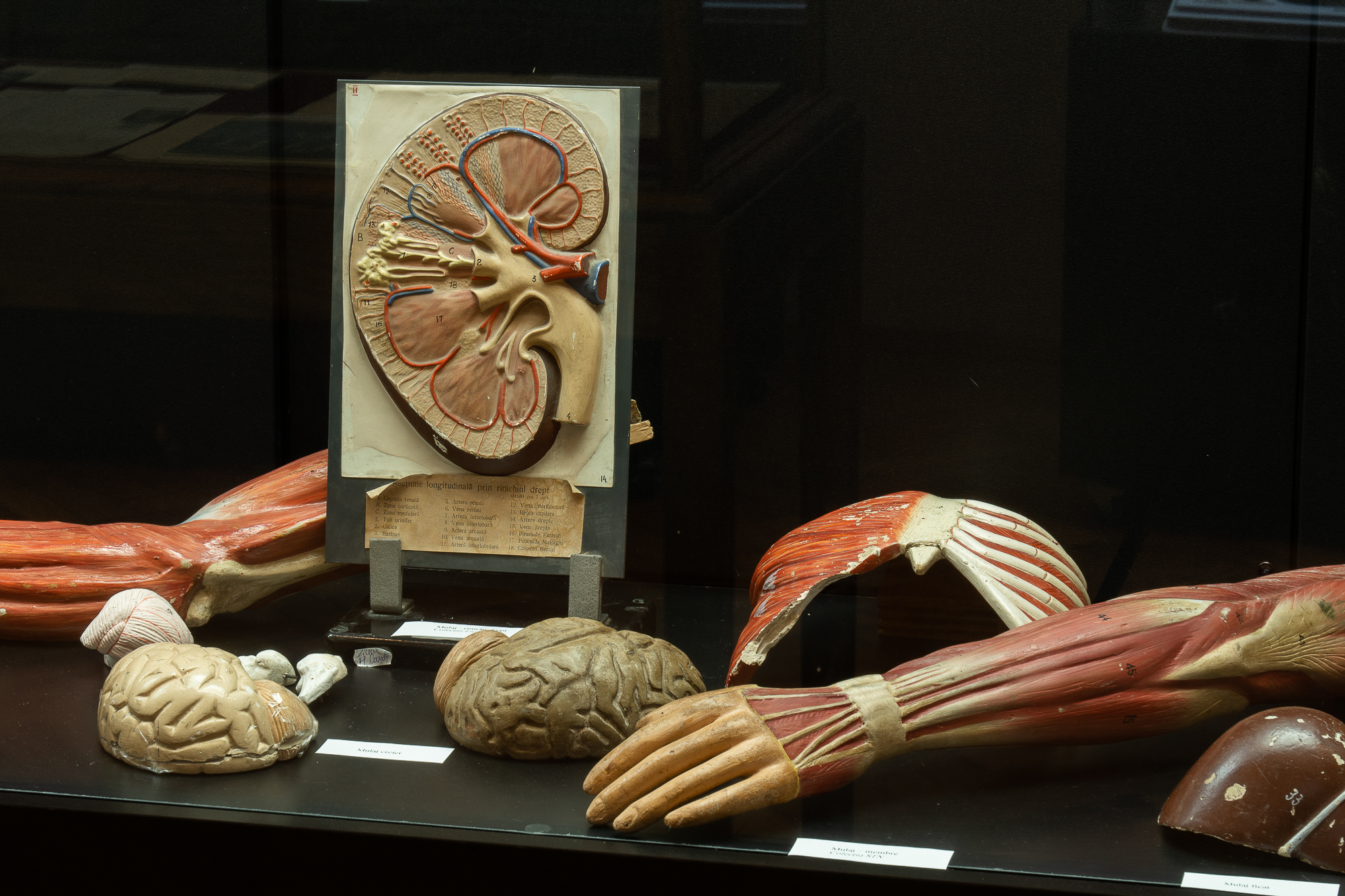 311208321_538836931384274_4826880550617524747_n