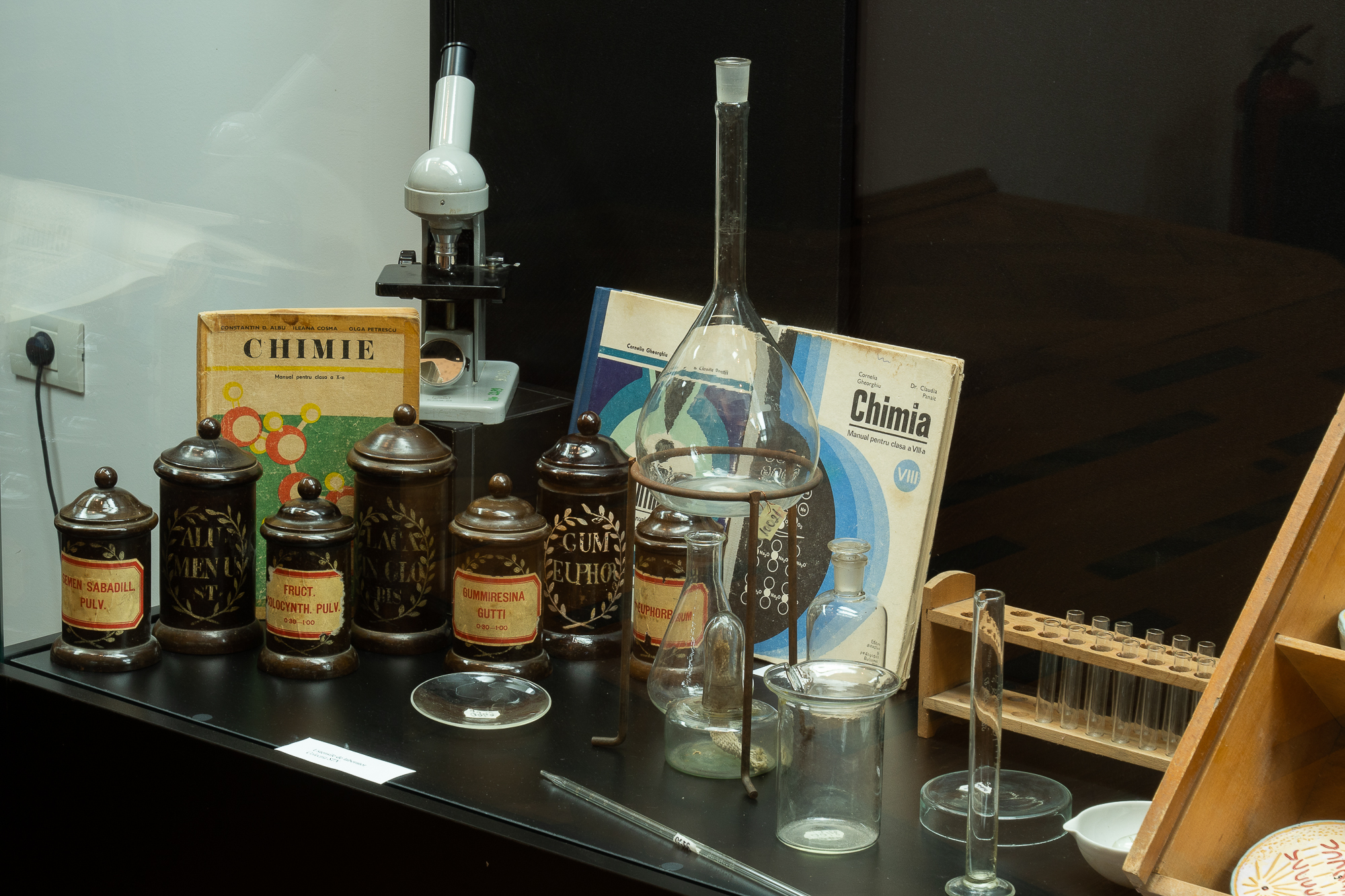 311294668_538836824717618_2191257959199750659_n