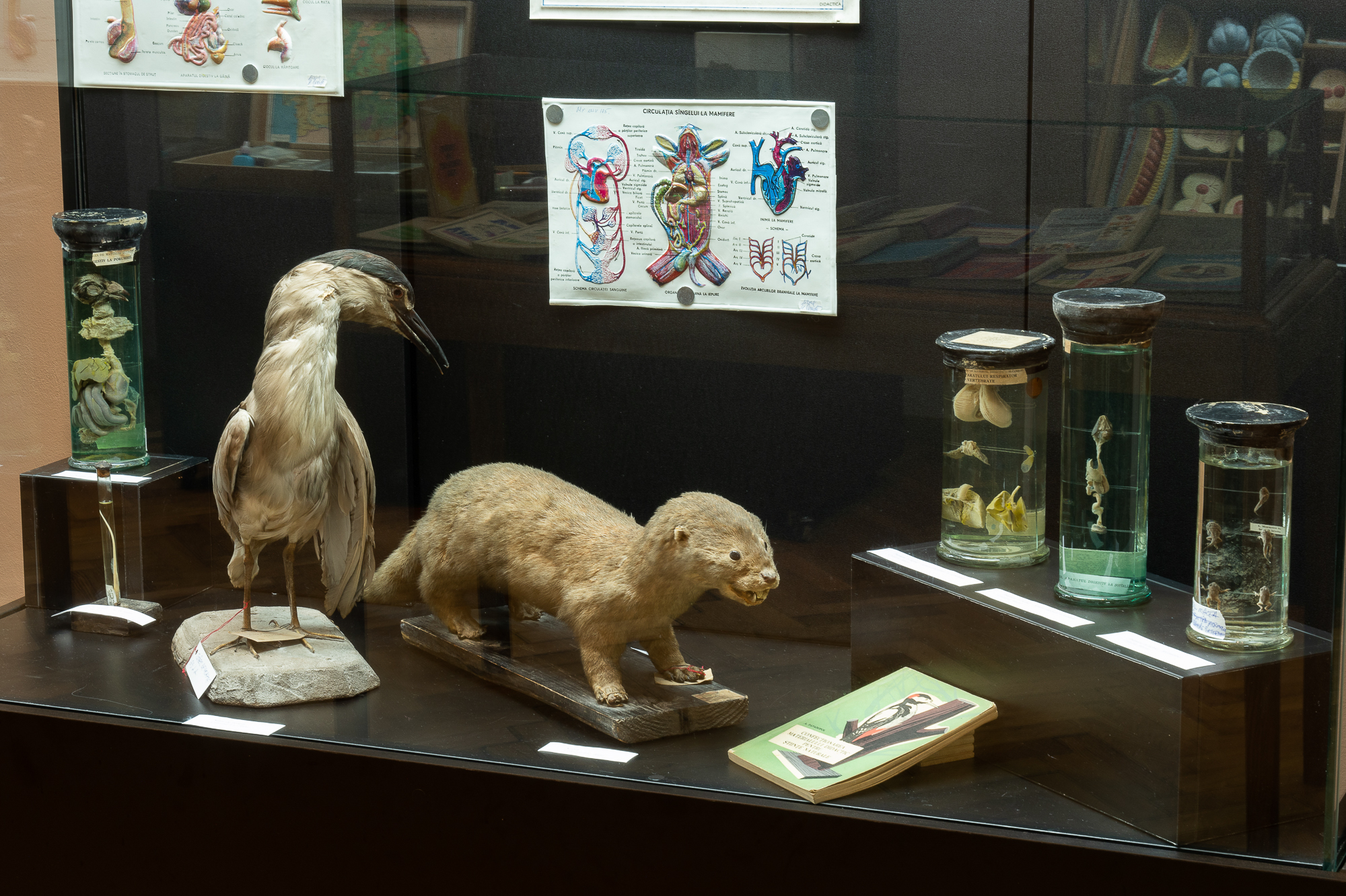 311431281_538836311384336_3633593596876741477_n