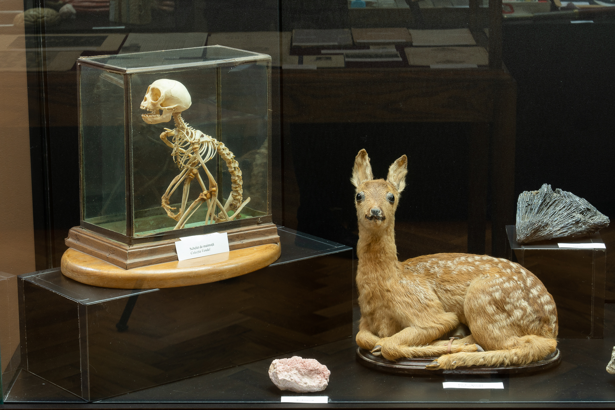 311584110_538836631384304_2275222387753556177_n