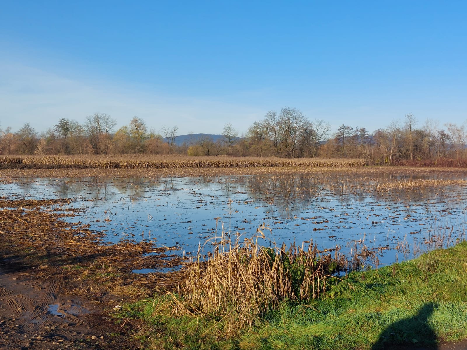 Inundaţii pe 330 de hectare din zona Almaş-Dieci