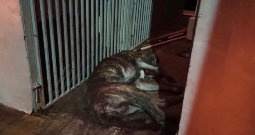 WhatsApp Image 2022-11-29 at 10.07.54 AM