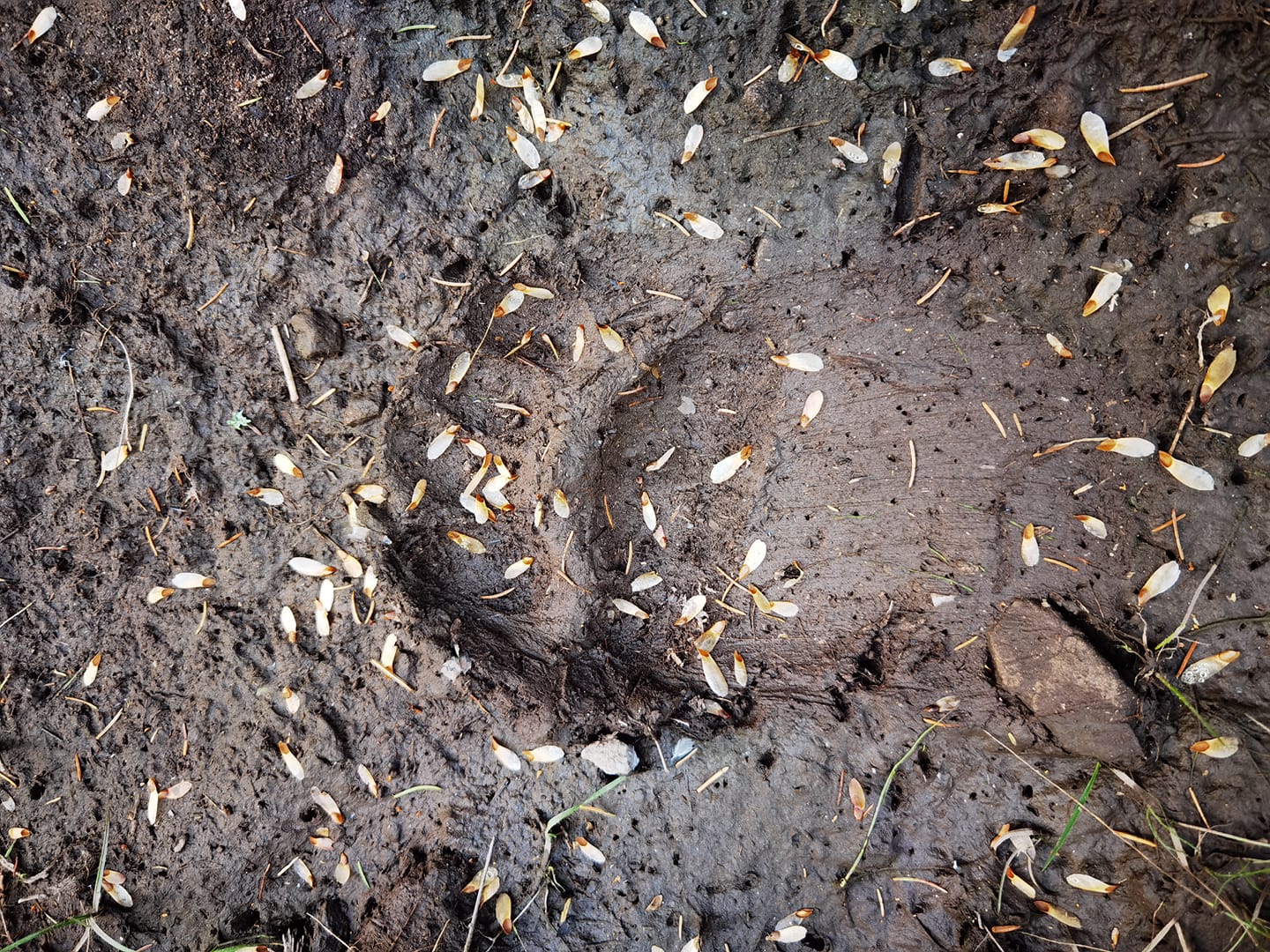 317078967_5348081045321468_3179416135190736039_n