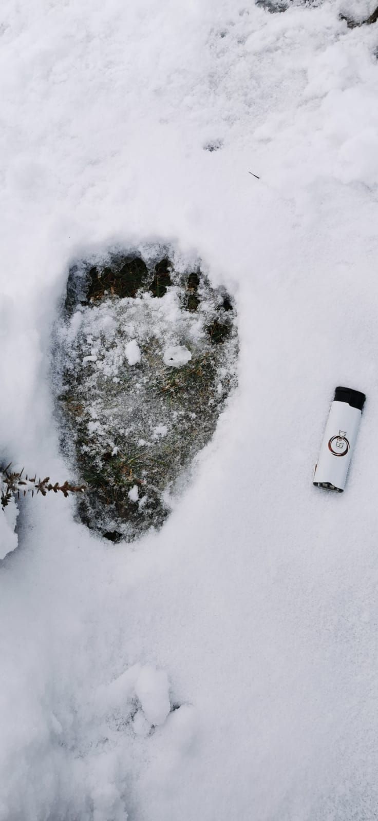 317244932_568942391710567_940758975622694876_n