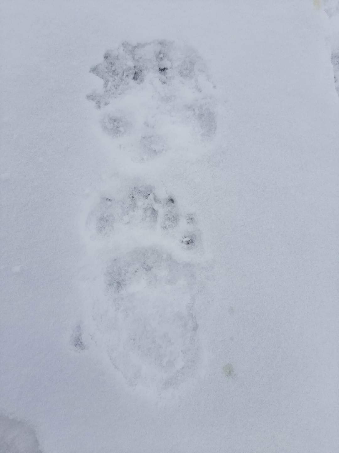 9723131urmaKatkaBondar