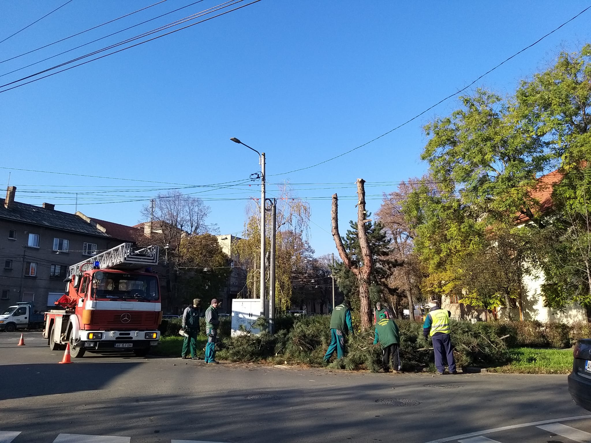 WhatsApp Image 2022-11-28 at 11.51.03