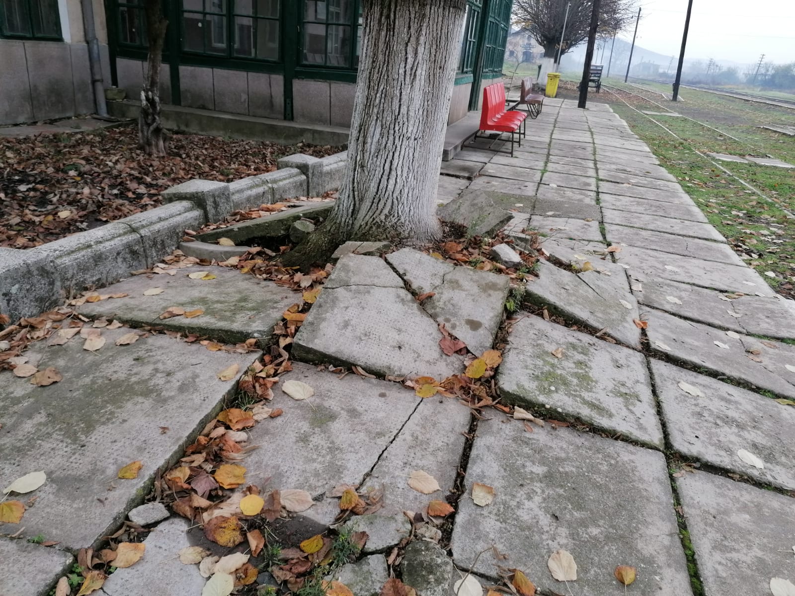 WhatsApp Image 2022-12-09 at 15.16.34 (3)