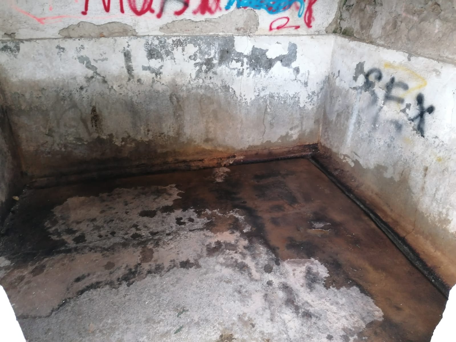 WhatsApp Image 2022-12-09 at 15.16.35 (2)