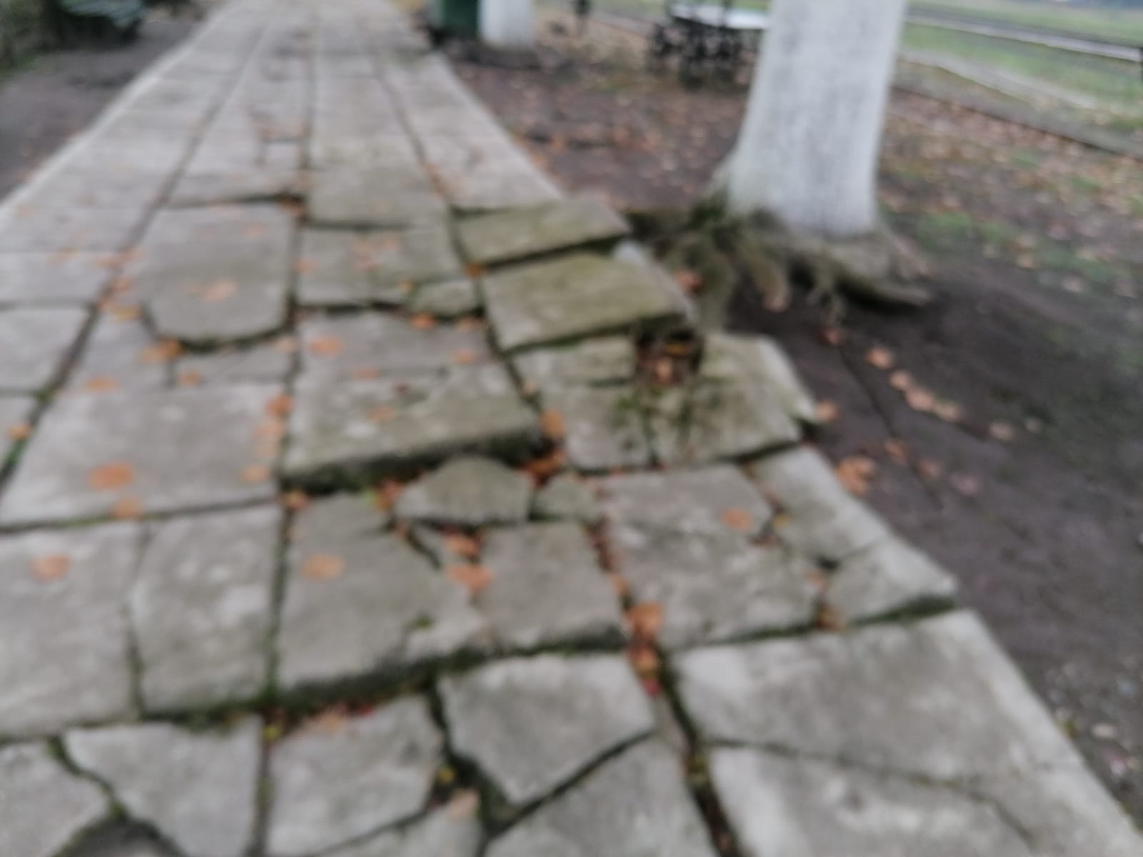 WhatsApp Image 2022-12-09 at 15.16.35