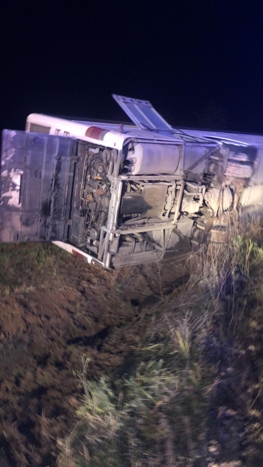 WhatsApp Image 2022-12-10 at 20.09.48