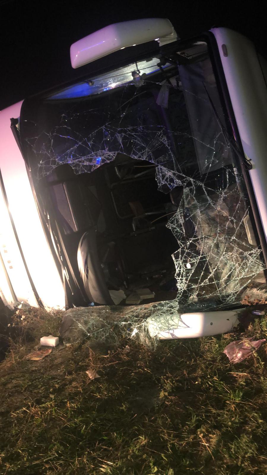 WhatsApp Image 2022-12-10 at 20.09.48 (1)