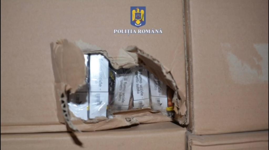 WhatsApp Image 2022-12-22 at 2.55.46 PM (2)