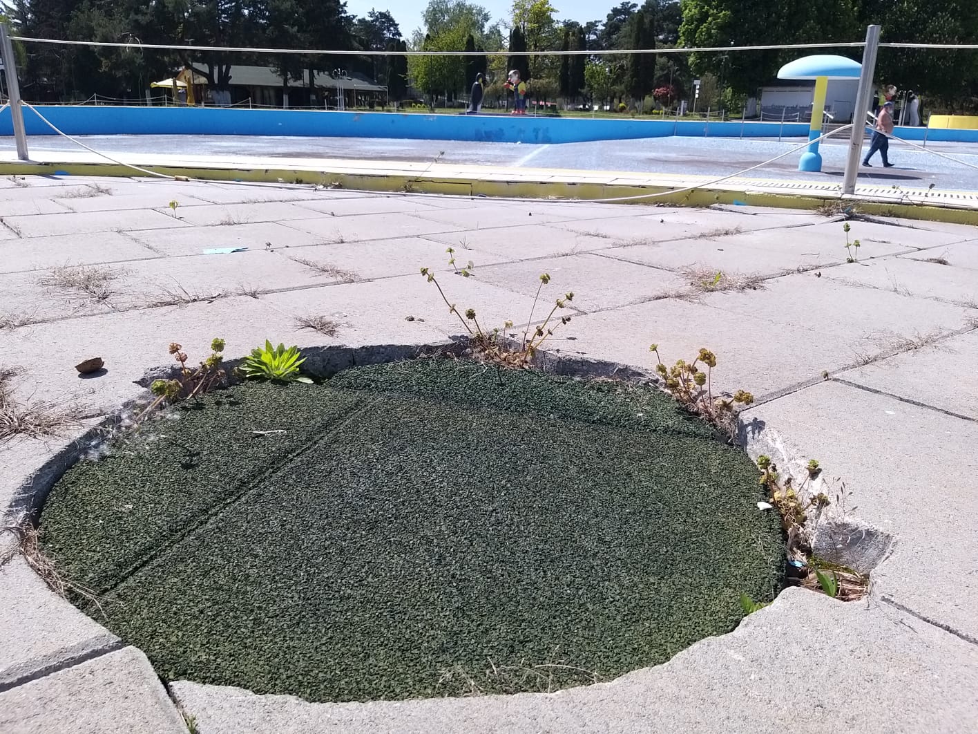 WhatsApp Image 2023-04-28 at 15.53.31