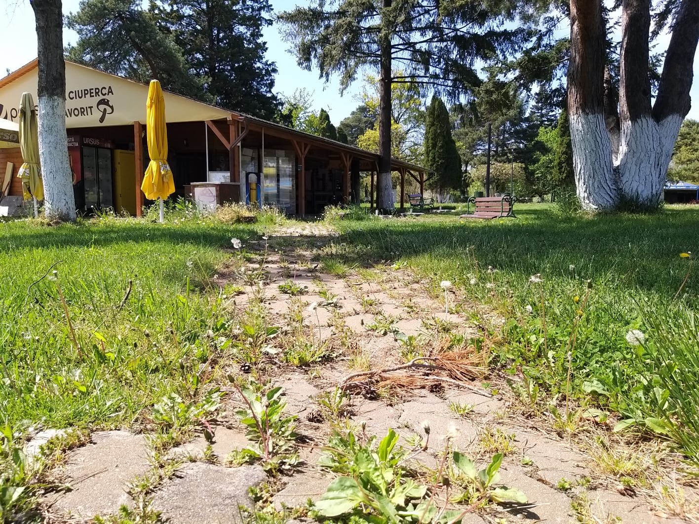 WhatsApp Image 2023-04-28 at 15.53.32 (2)