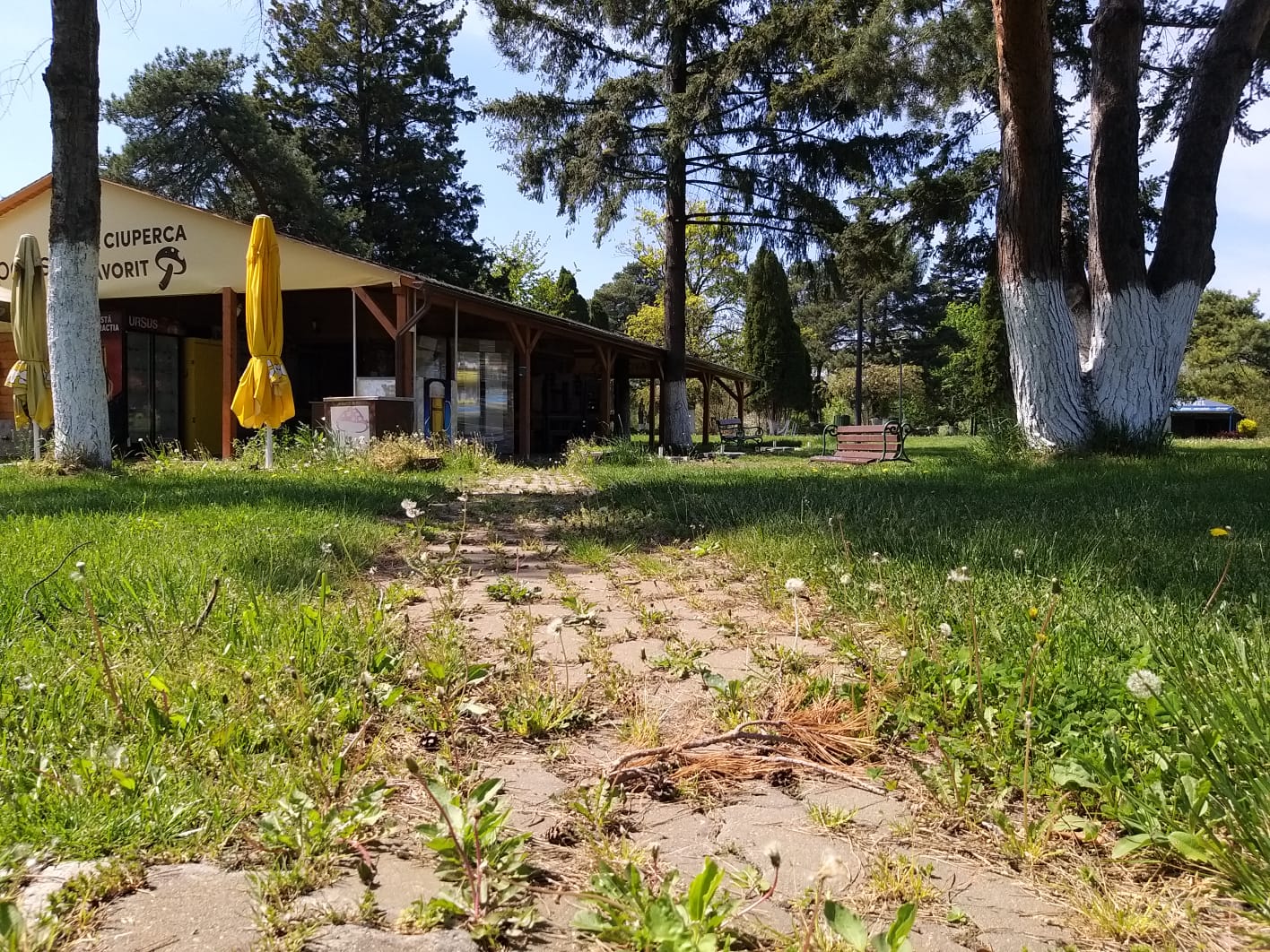 WhatsApp Image 2023-04-28 at 15.53.33