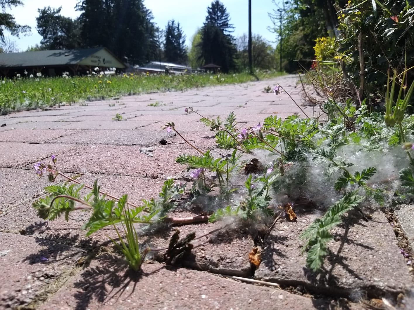 WhatsApp Image 2023-04-28 at 15.53.37 (5)