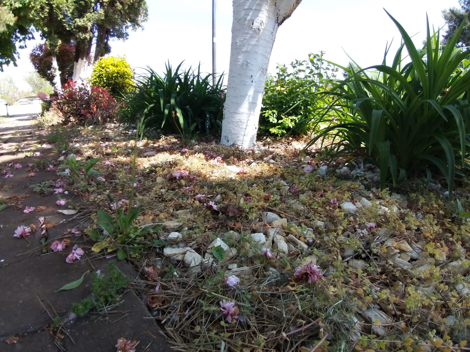 WhatsApp Image 2023-04-28 at 15.54.31