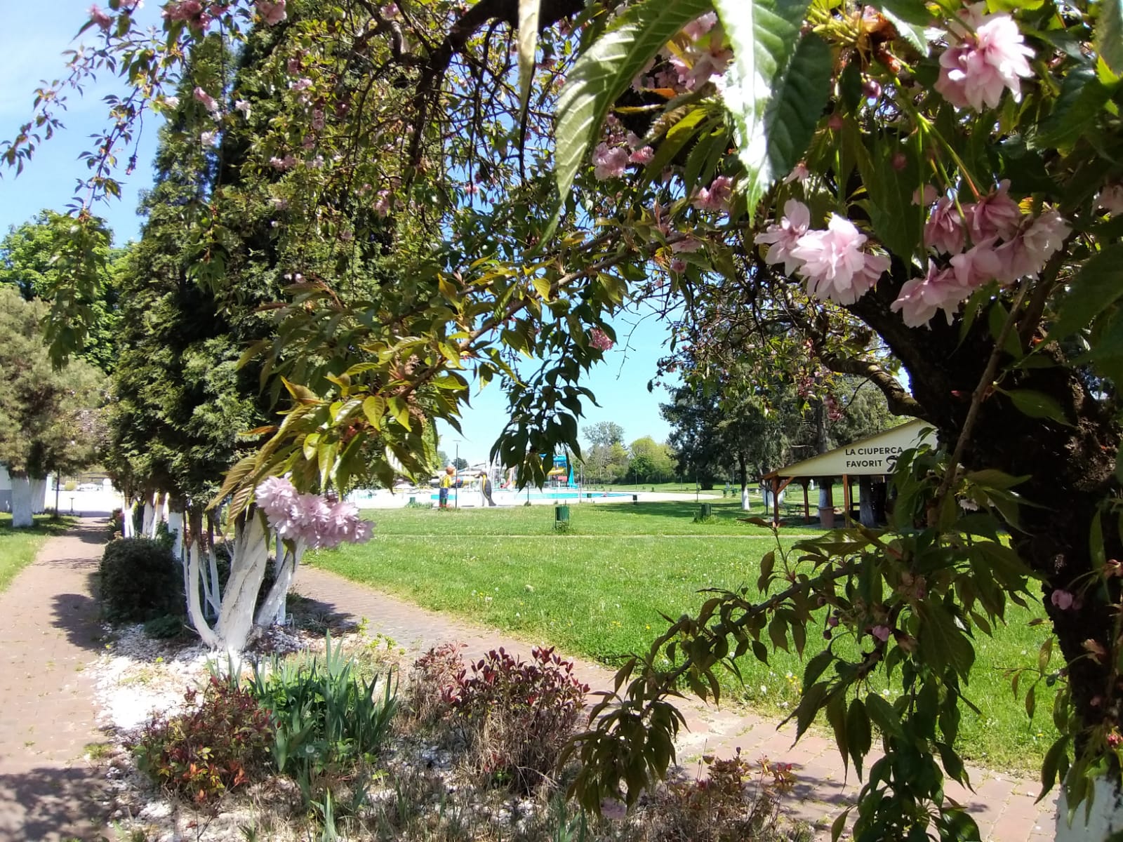 WhatsApp Image 2023-04-28 at 15.54.32 (1)