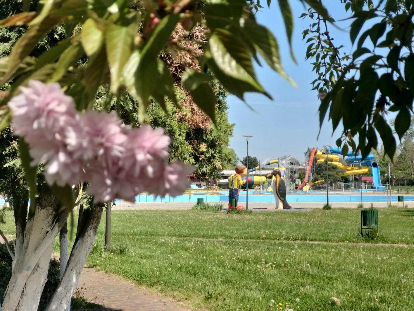 WhatsApp Image 2023-04-28 at 15.54.33 (1)