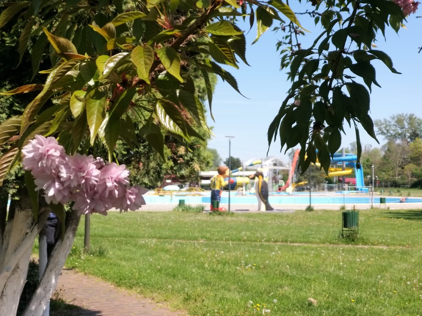 WhatsApp Image 2023-04-28 at 15.54.33