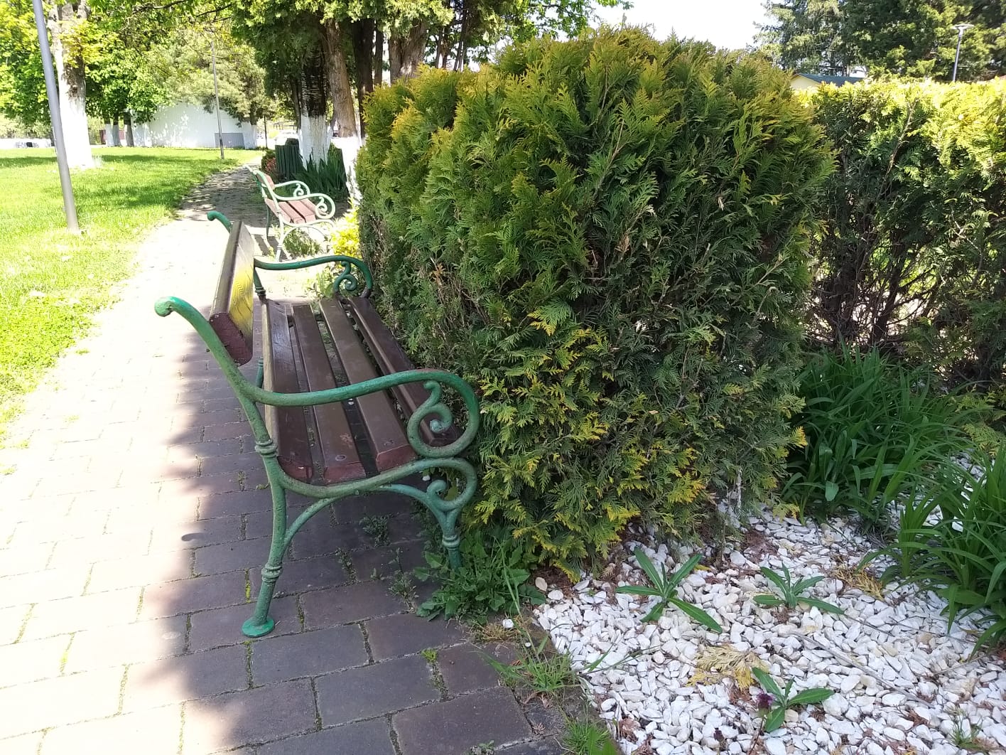 WhatsApp Image 2023-04-28 at 15.54.34 (1)