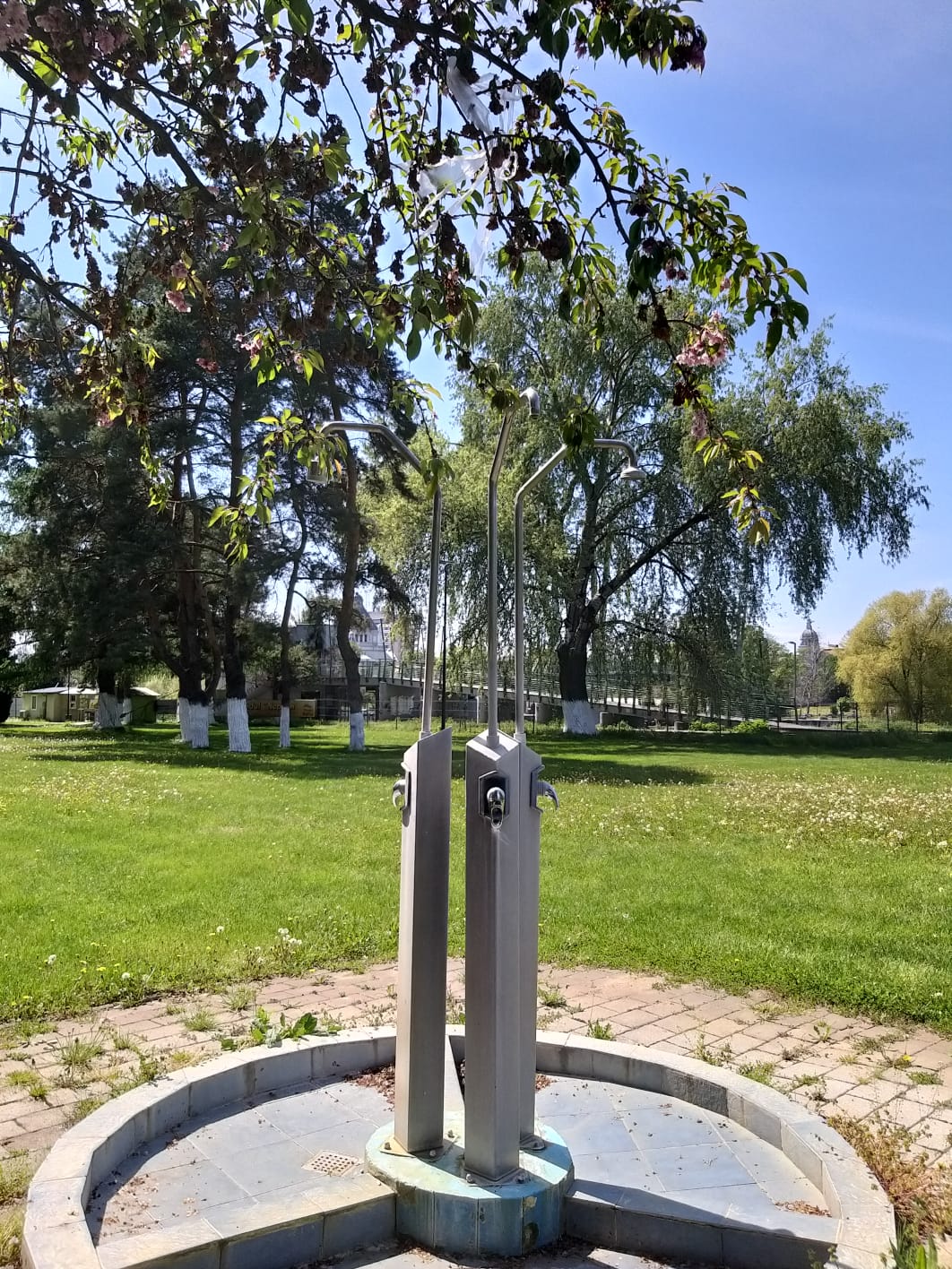 WhatsApp Image 2023-04-28 at 15.54.34 (2)