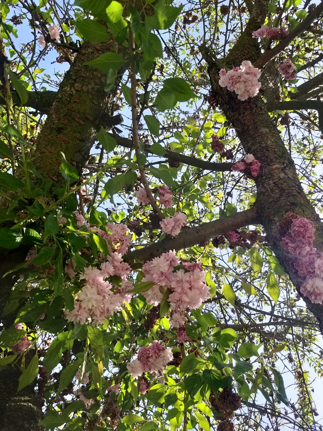 WhatsApp Image 2023-04-28 at 15.54.34 (3)