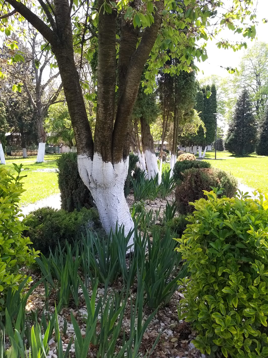 WhatsApp Image 2023-04-28 at 15.54.34 (4)