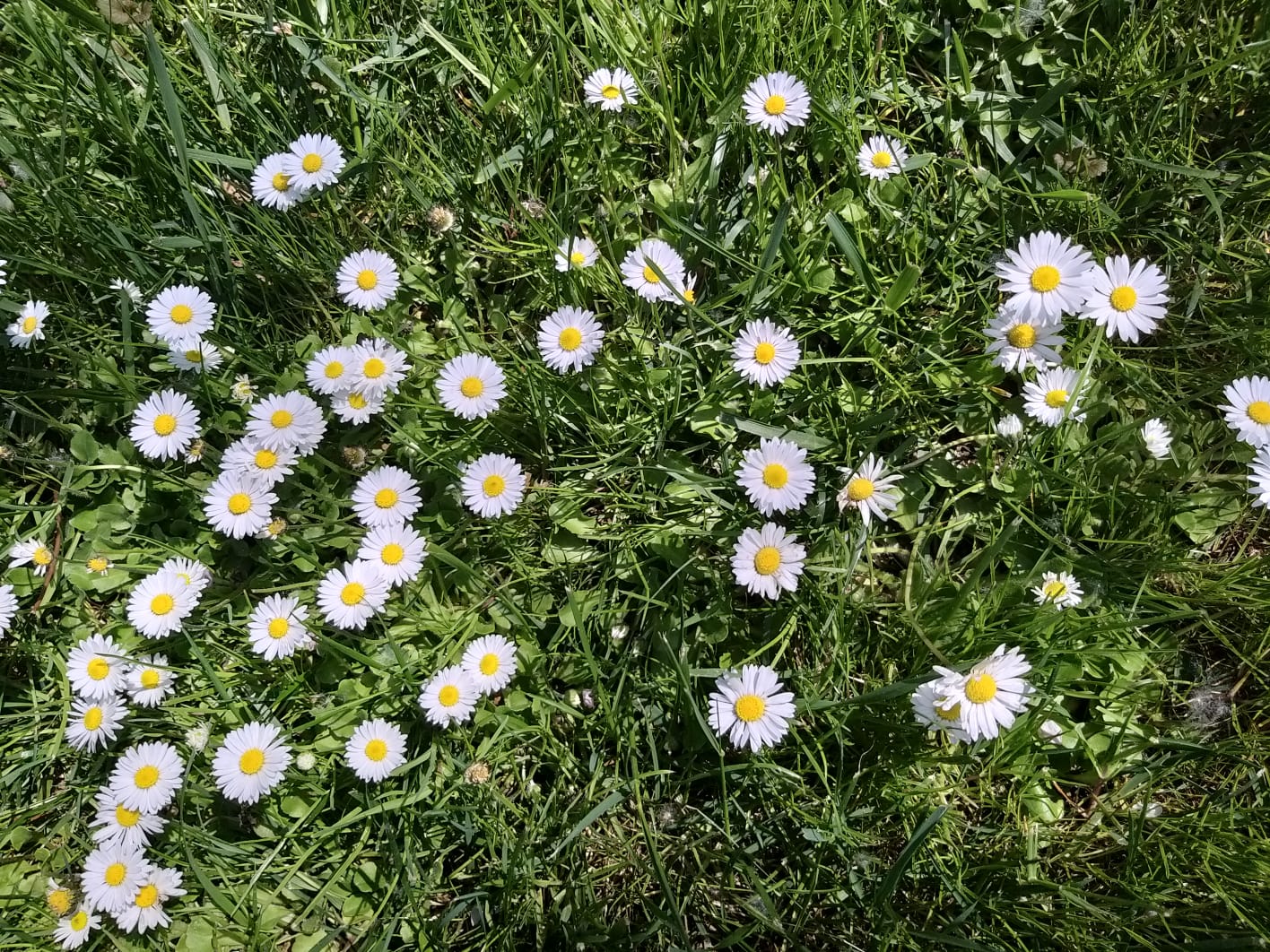 WhatsApp Image 2023-04-28 at 15.54.35 (1)