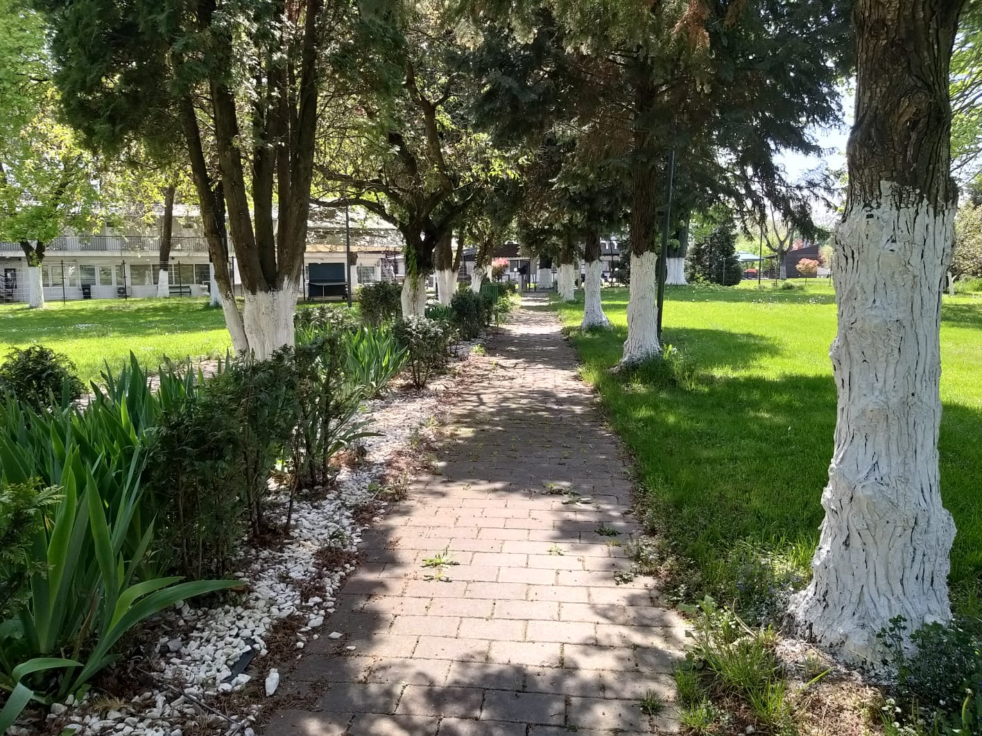 WhatsApp Image 2023-04-28 at 15.54.35 (2)