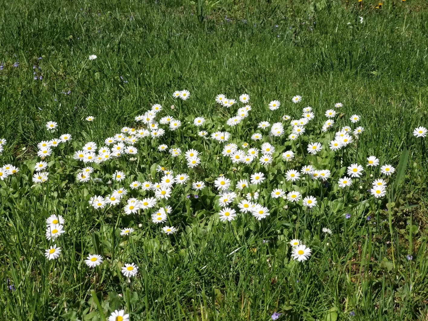 WhatsApp Image 2023-04-28 at 15.54.35 (3)