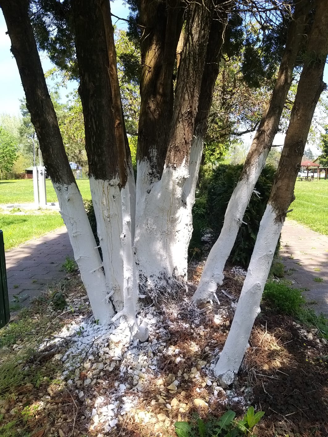 WhatsApp Image 2023-04-28 at 15.54.35