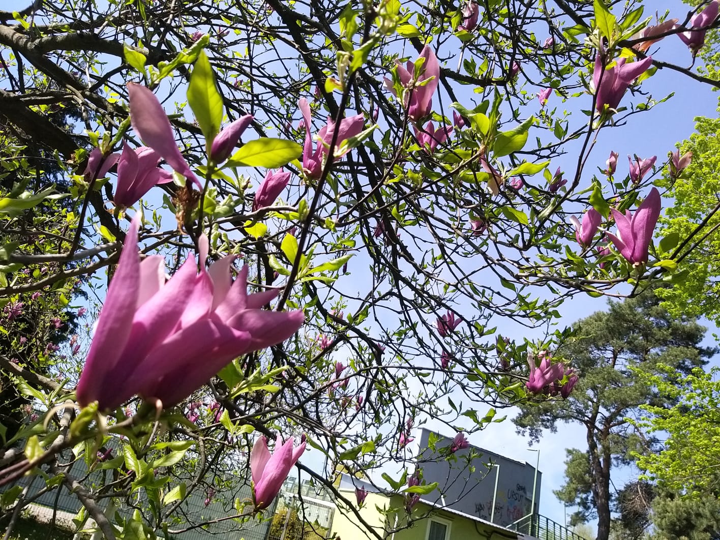 WhatsApp Image 2023-04-28 at 15.55.31 (1)