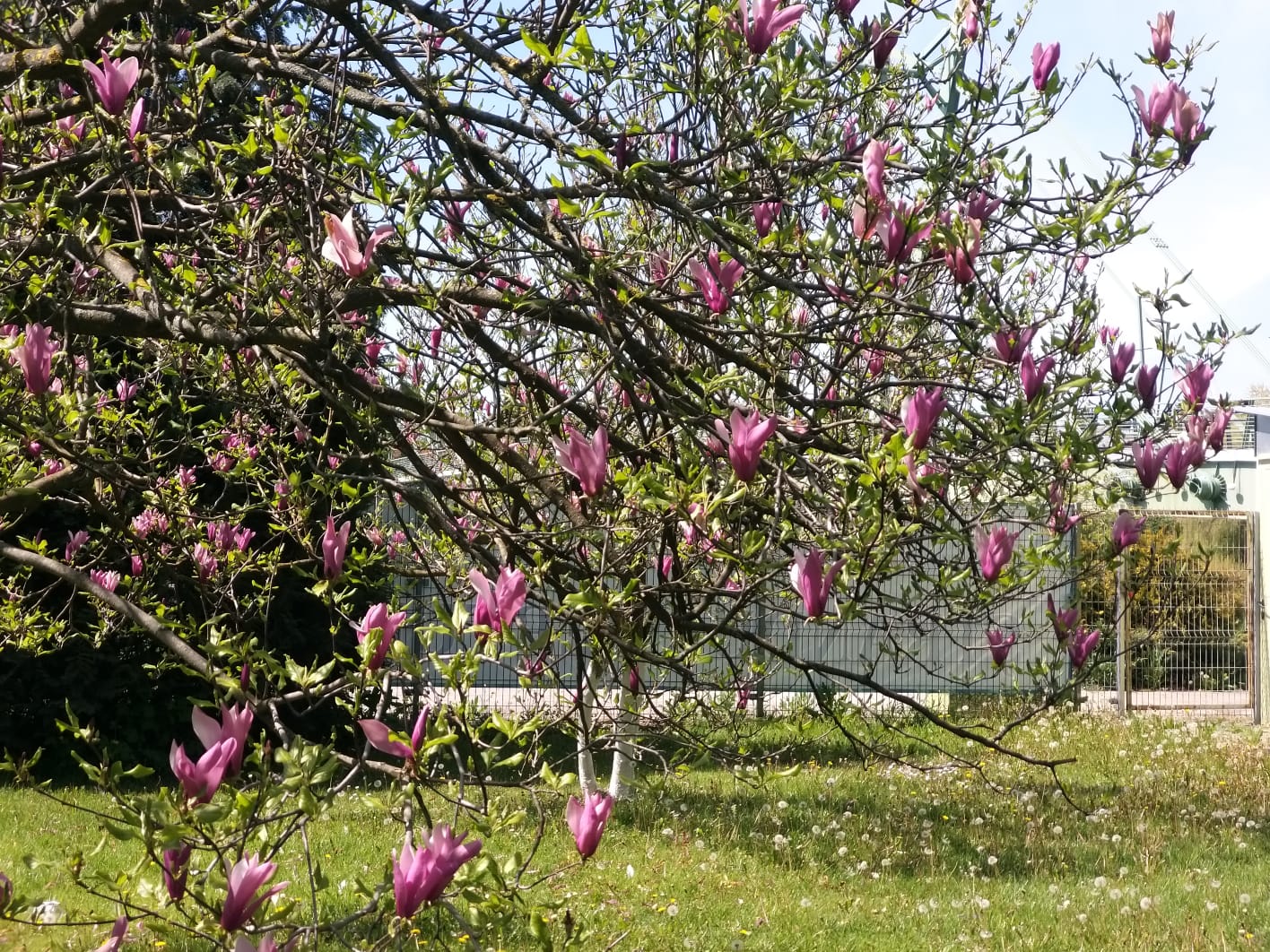 WhatsApp Image 2023-04-28 at 15.55.31