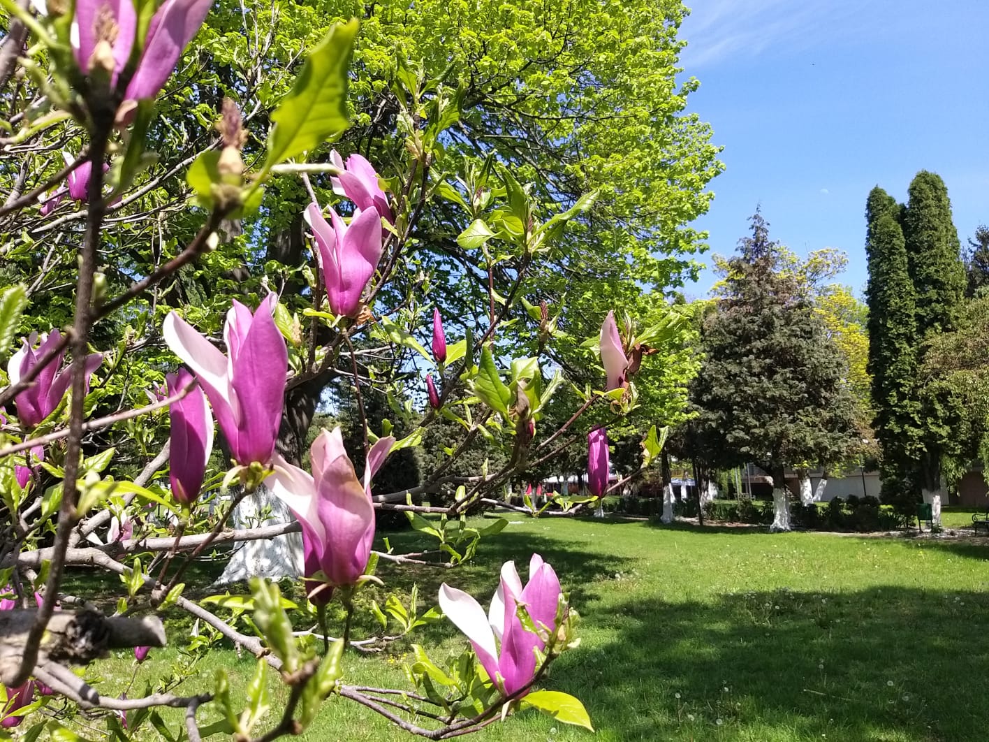 WhatsApp Image 2023-04-28 at 15.55.32 (1)