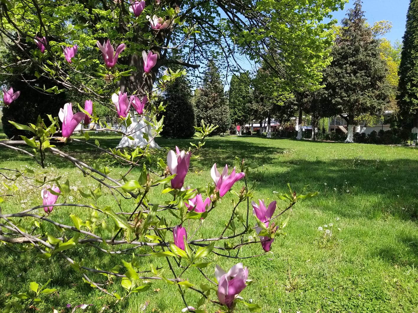 WhatsApp Image 2023-04-28 at 15.55.32