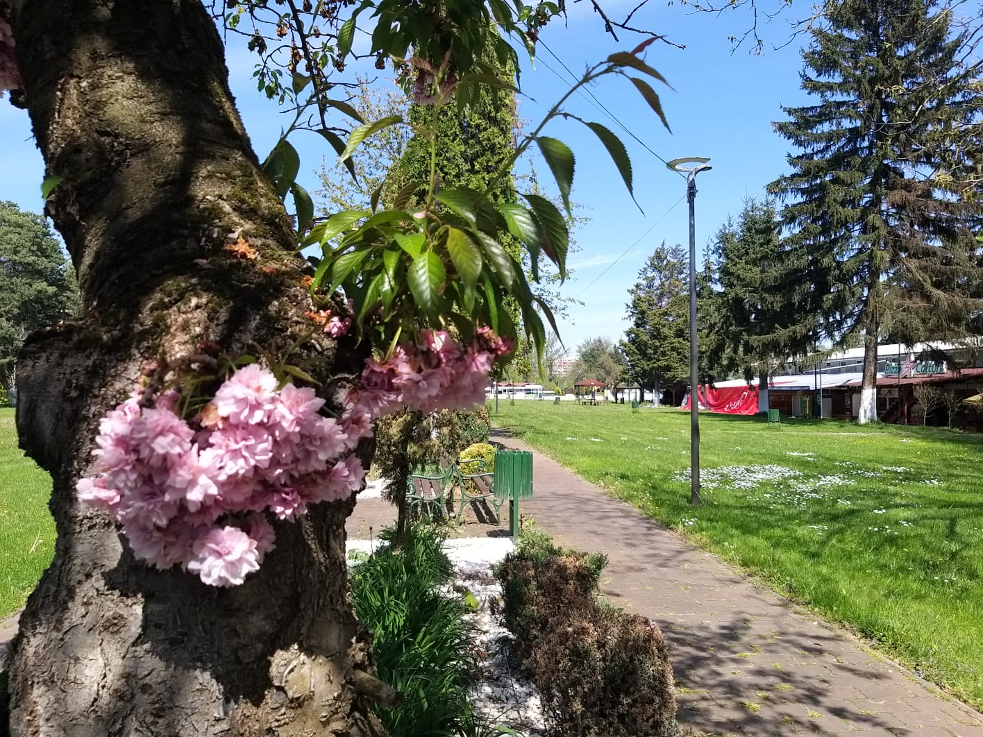 WhatsApp Image 2023-04-28 at 15.55.36 (1)