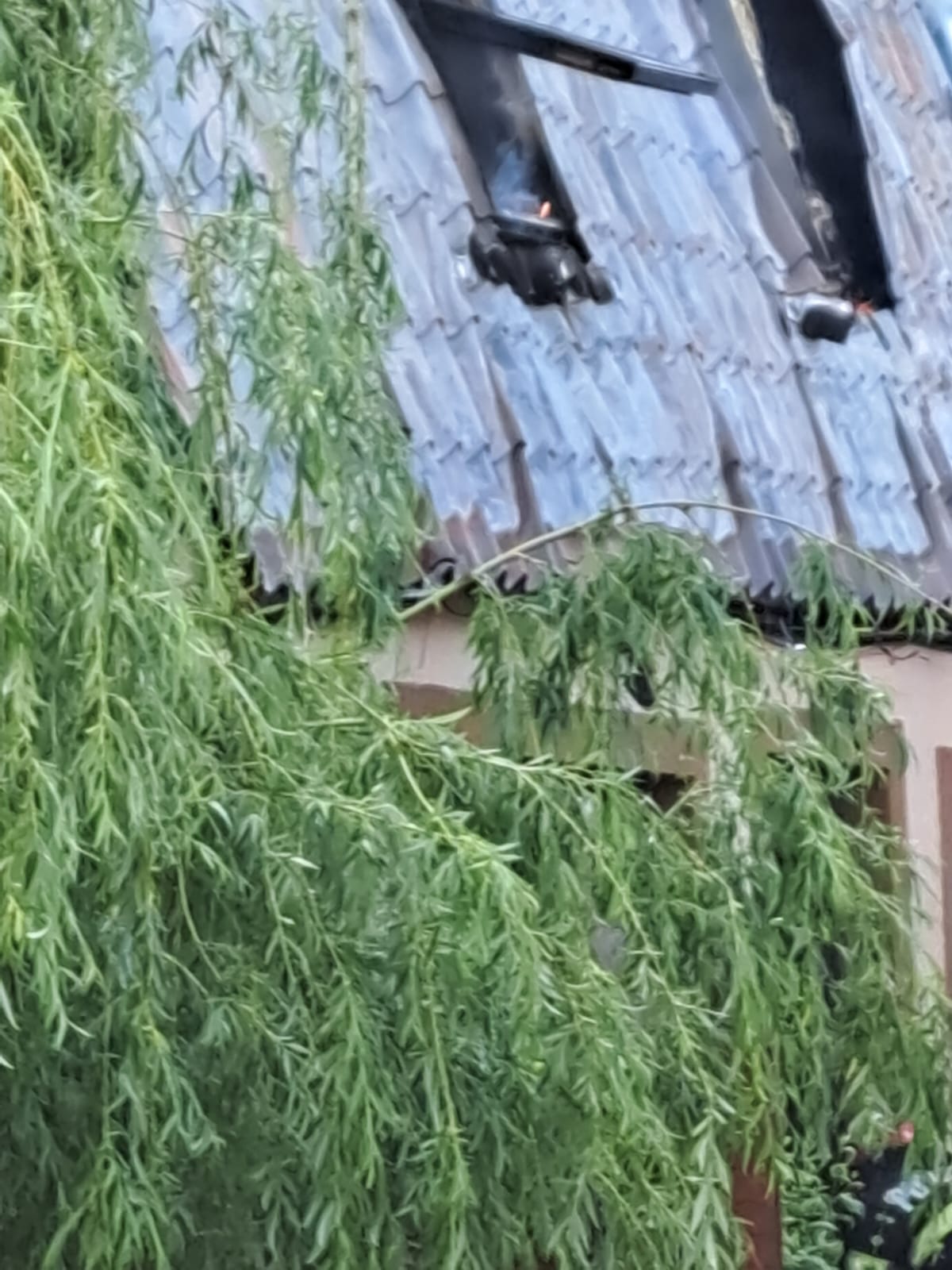 WhatsApp Image 2023-05-09 at 19.15.02