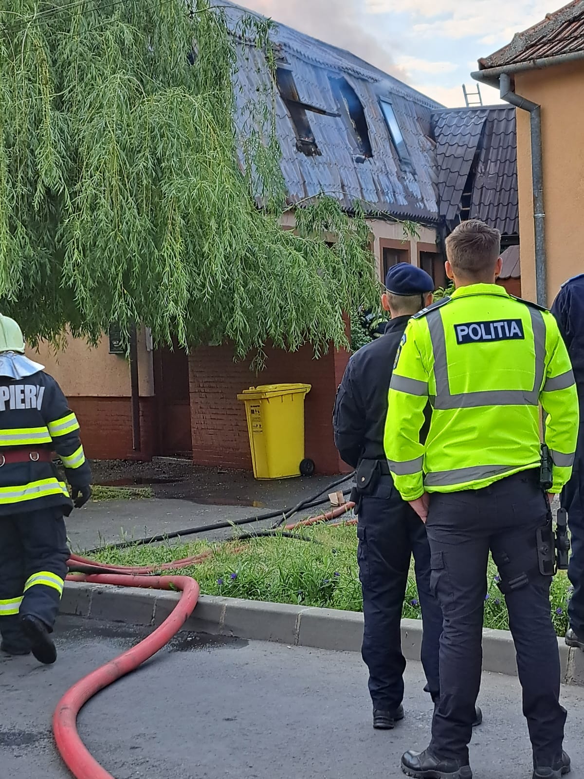 WhatsApp Image 2023-05-09 at 19.15.03