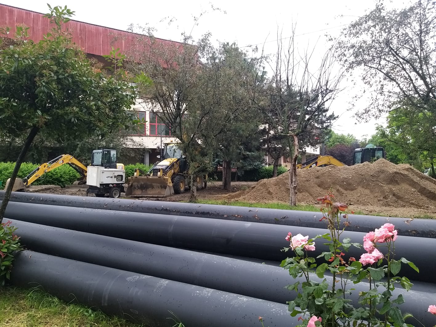 WhatsApp Image 2023-06-06 at 11.57.25