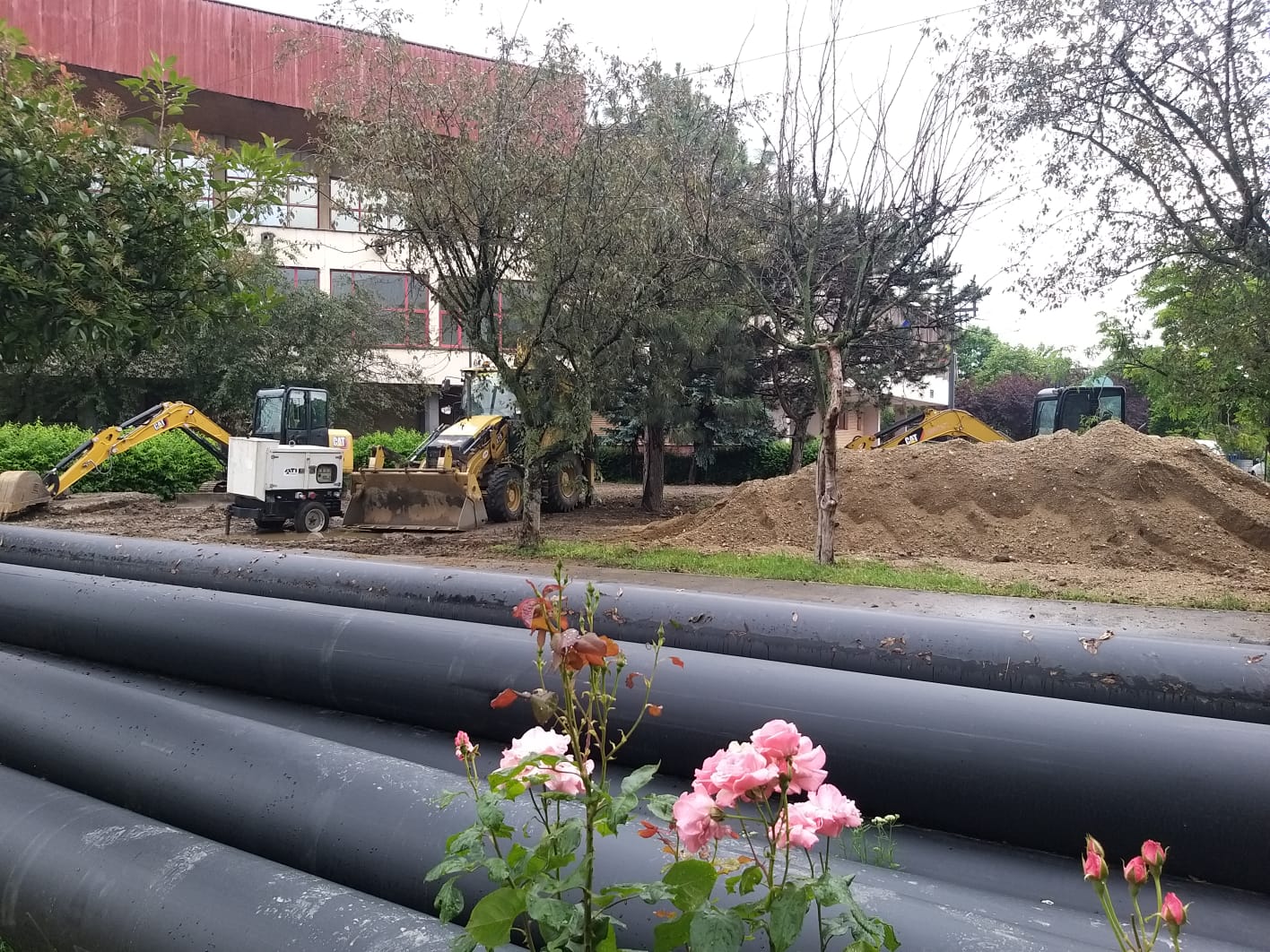 WhatsApp Image 2023-06-06 at 11.57.27