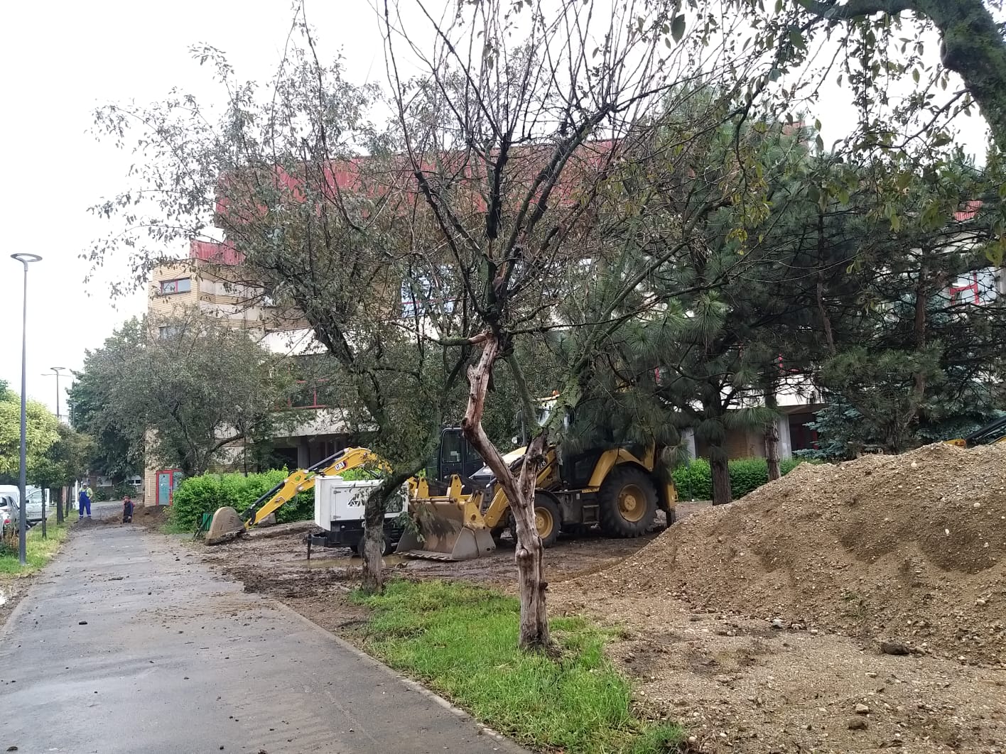 WhatsApp Image 2023-06-06 at 11.57.30