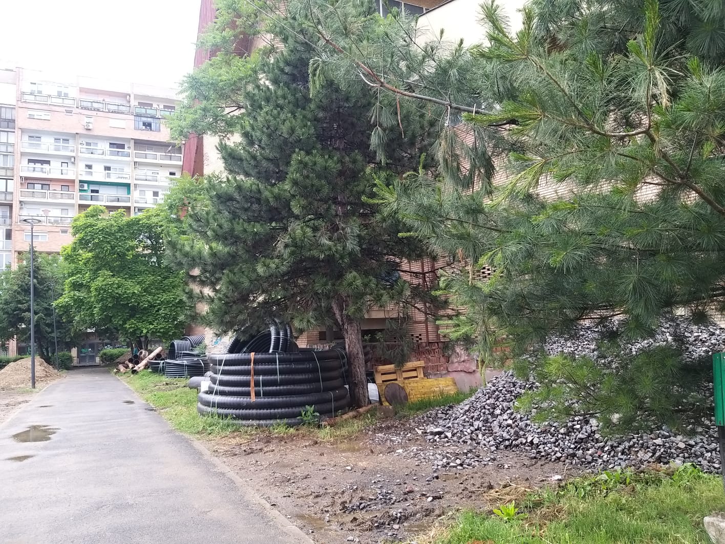 WhatsApp Image 2023-06-06 at 11.57.36