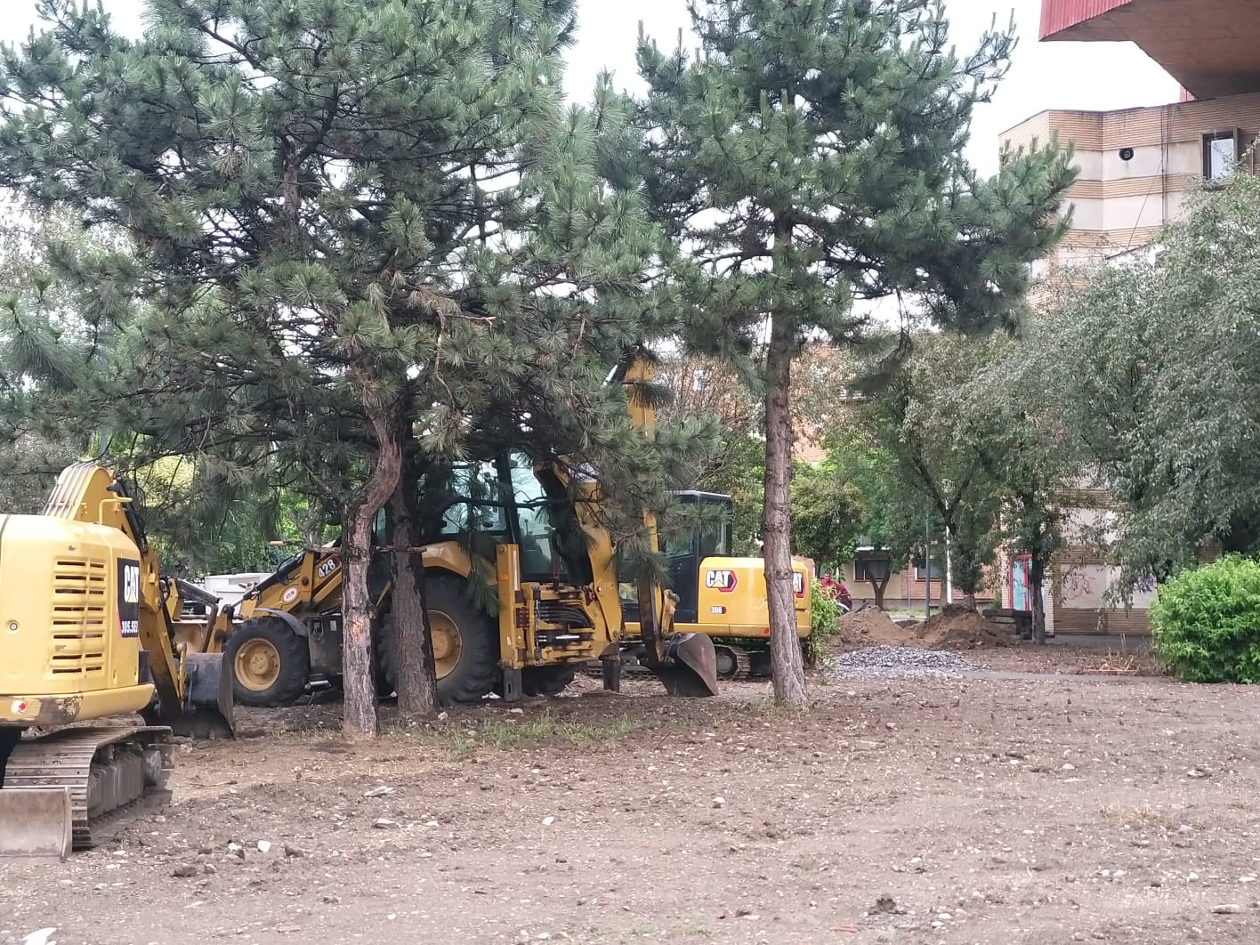 WhatsApp Image 2023-06-06 at 11.57.38