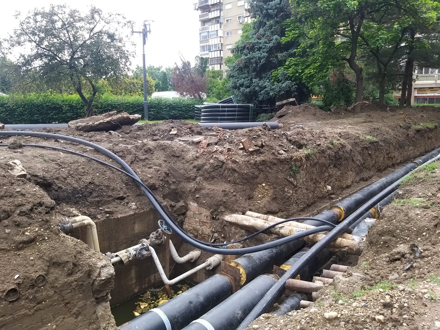 WhatsApp Image 2023-06-06 at 11.57.39 (2)