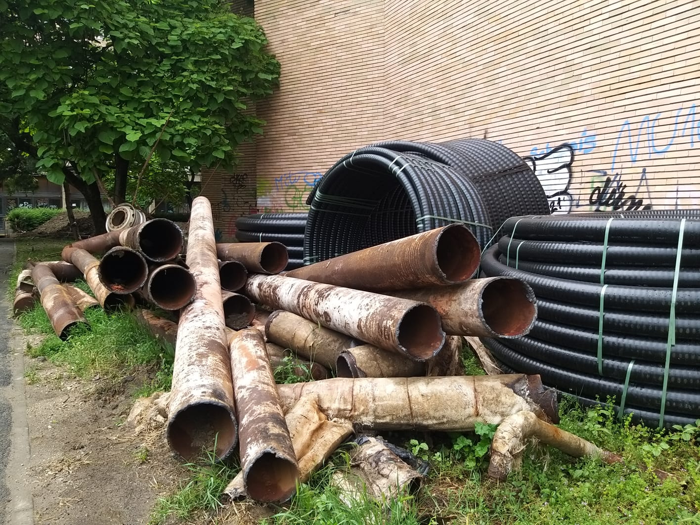 WhatsApp Image 2023-06-06 at 11.57.40 (3)